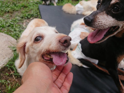 f:id:roukenhome-ann:20190705202927j:plain