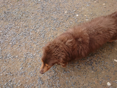 f:id:roukenhome-ann:20190705202956j:plain