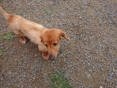 f:id:roukenhome-ann:20190705203058j:plain