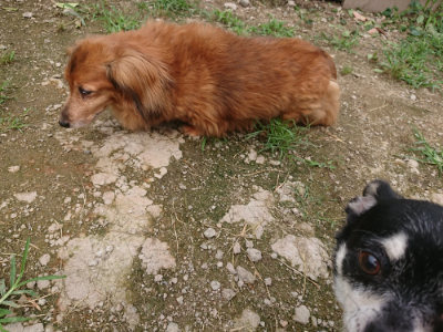 f:id:roukenhome-ann:20190705203105j:plain