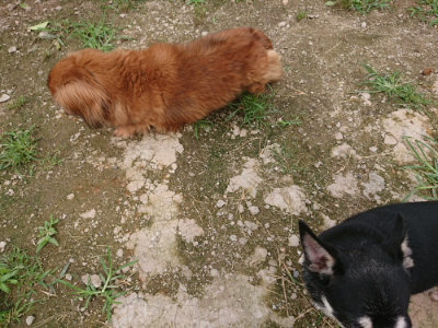f:id:roukenhome-ann:20190705203112j:plain