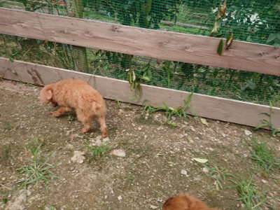 f:id:roukenhome-ann:20190705203131j:plain