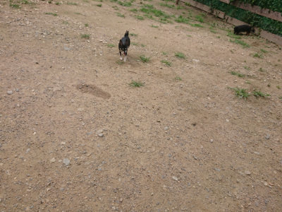 f:id:roukenhome-ann:20190705203137j:plain