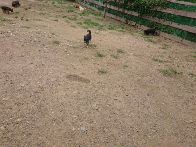 f:id:roukenhome-ann:20190705203159j:plain