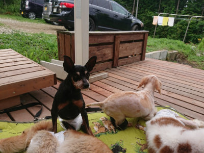 f:id:roukenhome-ann:20190705205228j:plain
