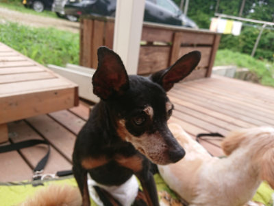 f:id:roukenhome-ann:20190705205255j:plain
