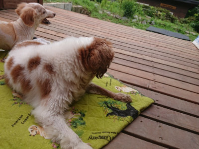 f:id:roukenhome-ann:20190705205320j:plain