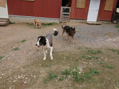 f:id:roukenhome-ann:20190705211250j:plain