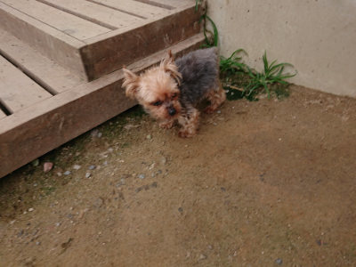 f:id:roukenhome-ann:20190705211256j:plain