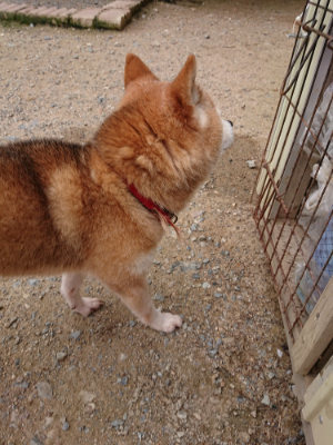 f:id:roukenhome-ann:20190705211309j:plain