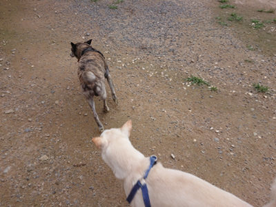 f:id:roukenhome-ann:20190705211423j:plain