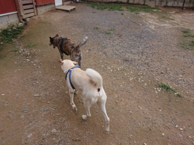 f:id:roukenhome-ann:20190705211429j:plain