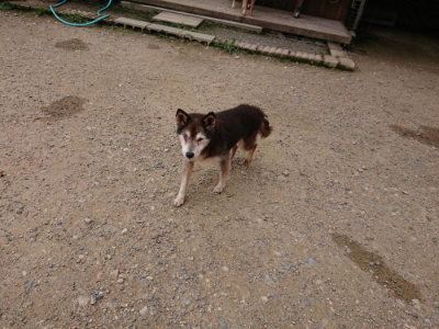 f:id:roukenhome-ann:20190705211447j:plain