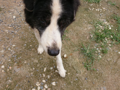 f:id:roukenhome-ann:20190705211614j:plain