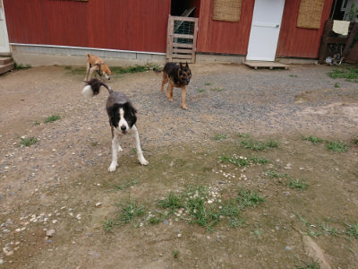 f:id:roukenhome-ann:20190705211650j:plain
