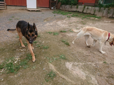 f:id:roukenhome-ann:20190705211915j:plain