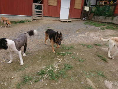 f:id:roukenhome-ann:20190705211937j:plain