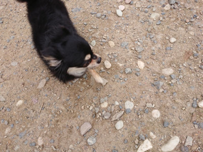 f:id:roukenhome-ann:20190705211957j:plain