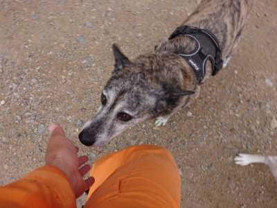 f:id:roukenhome-ann:20190705212002j:plain