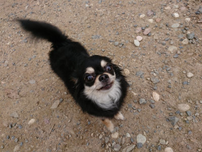 f:id:roukenhome-ann:20190705212018j:plain