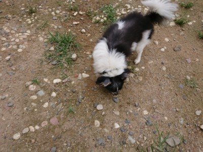 f:id:roukenhome-ann:20190705212022j:plain