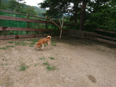 f:id:roukenhome-ann:20190705212038j:plain