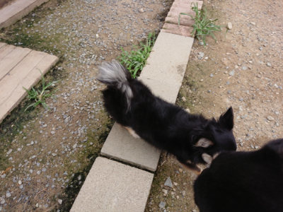 f:id:roukenhome-ann:20190705212113j:plain