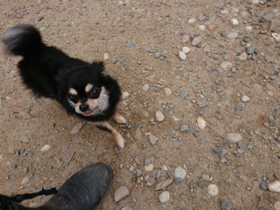 f:id:roukenhome-ann:20190705212126j:plain