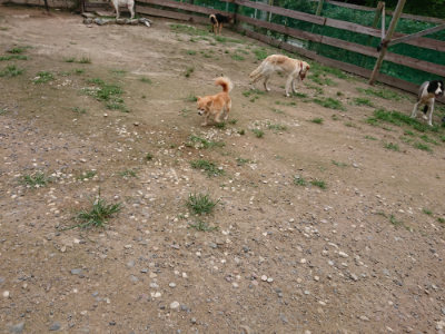 f:id:roukenhome-ann:20190705212133j:plain