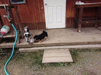 f:id:roukenhome-ann:20190705212209j:plain