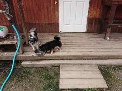 f:id:roukenhome-ann:20190705212214j:plain