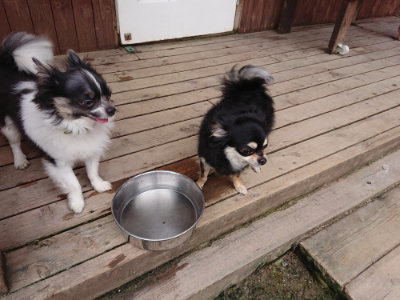 f:id:roukenhome-ann:20190705212220j:plain