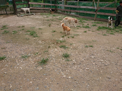 f:id:roukenhome-ann:20190705212233j:plain