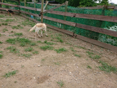 f:id:roukenhome-ann:20190705212449j:plain