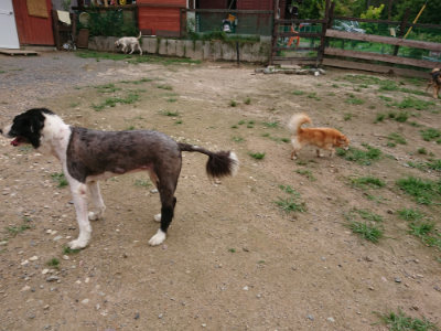 f:id:roukenhome-ann:20190705212455j:plain