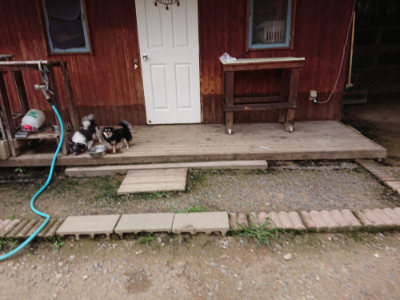 f:id:roukenhome-ann:20190705212501j:plain