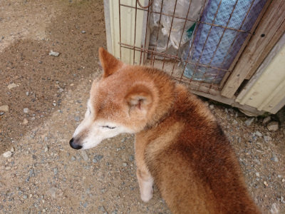 f:id:roukenhome-ann:20190705212511j:plain