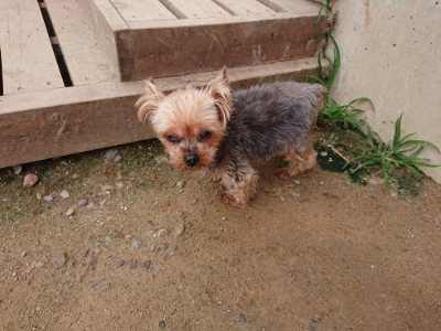f:id:roukenhome-ann:20190705212523j:plain