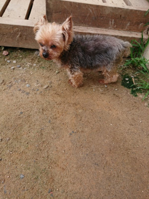 f:id:roukenhome-ann:20190705212528j:plain