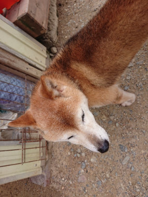 f:id:roukenhome-ann:20190705212534j:plain