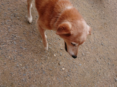 f:id:roukenhome-ann:20190705212542j:plain