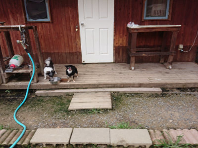 f:id:roukenhome-ann:20190705212602j:plain