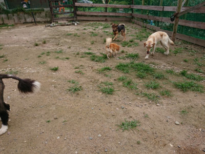f:id:roukenhome-ann:20190705212734j:plain
