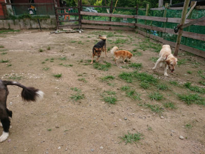 f:id:roukenhome-ann:20190705212740j:plain
