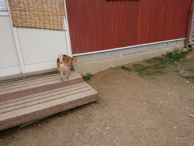 f:id:roukenhome-ann:20190705213100j:plain