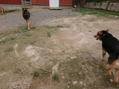 f:id:roukenhome-ann:20190705213110j:plain