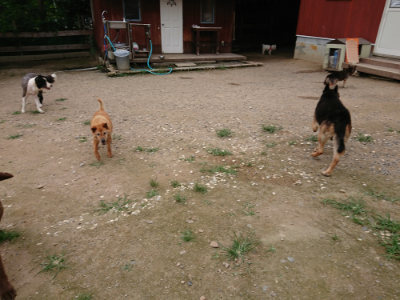 f:id:roukenhome-ann:20190705213122j:plain