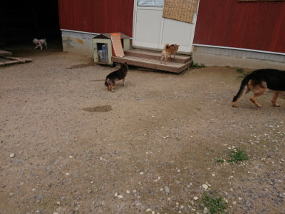 f:id:roukenhome-ann:20190705213128j:plain
