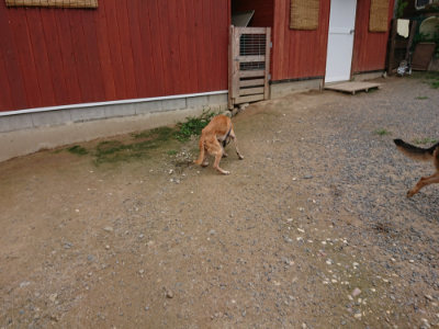 f:id:roukenhome-ann:20190705213150j:plain