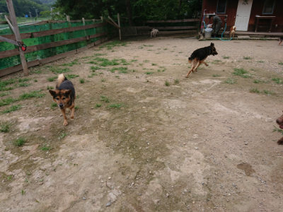 f:id:roukenhome-ann:20190705213202j:plain